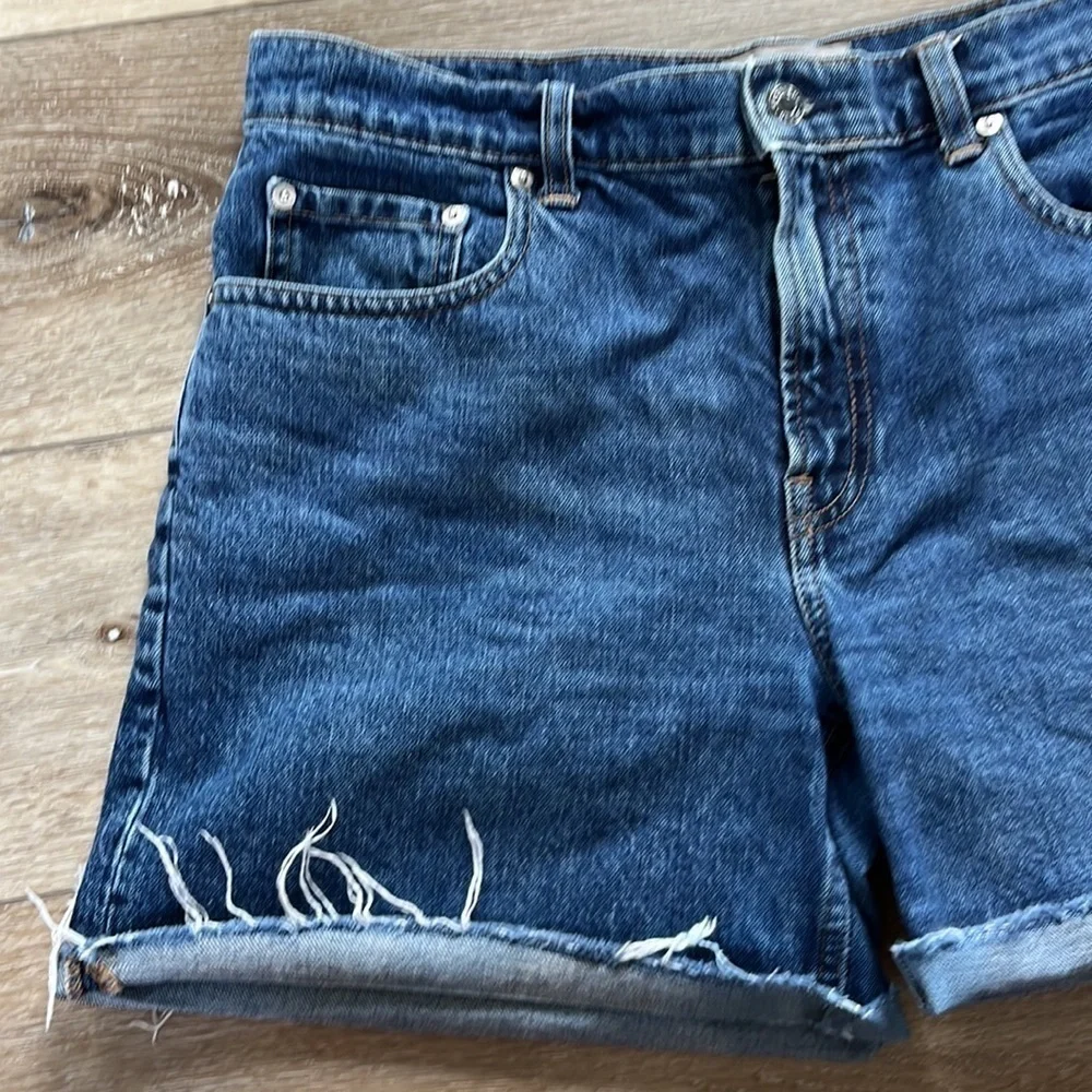 Everlane The Short Denim Jean Shorts